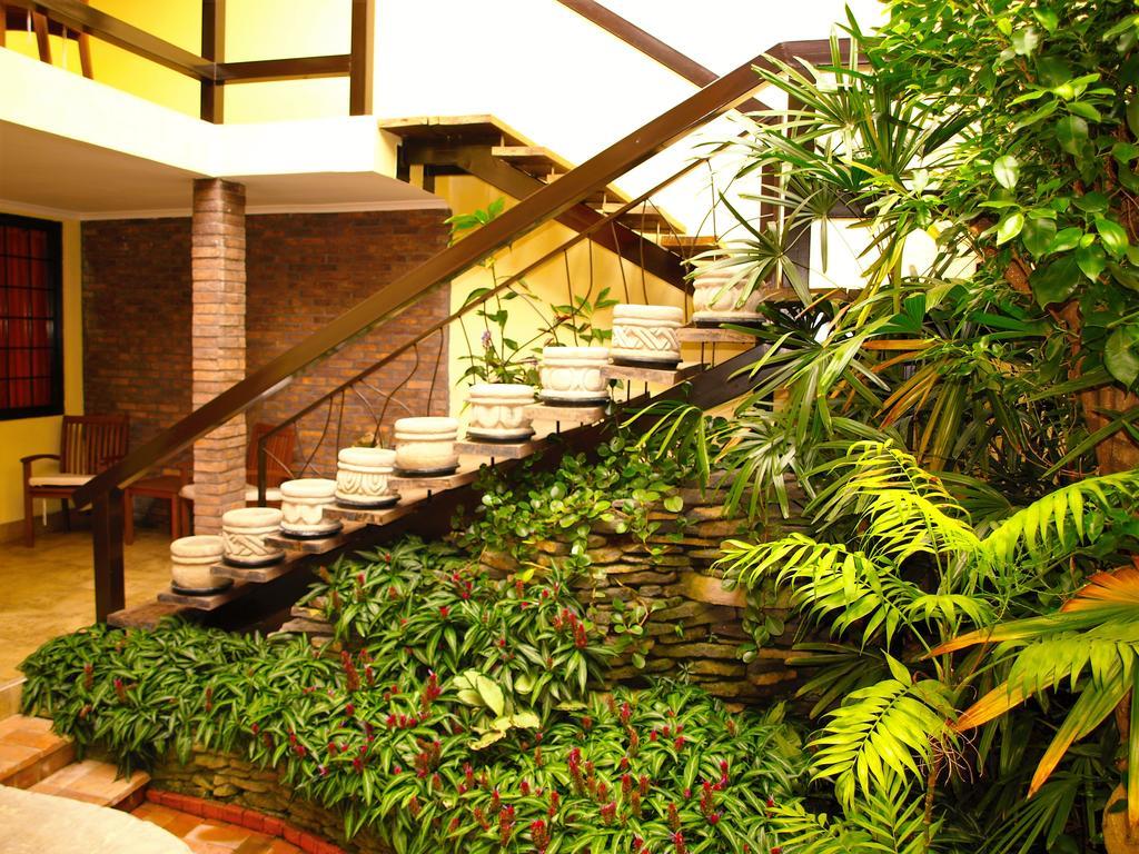 Hotel The Palm House Inn San José Exteriér fotografie