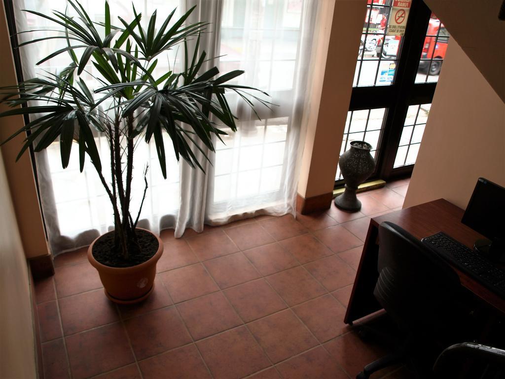 Hotel The Palm House Inn San José Exteriér fotografie