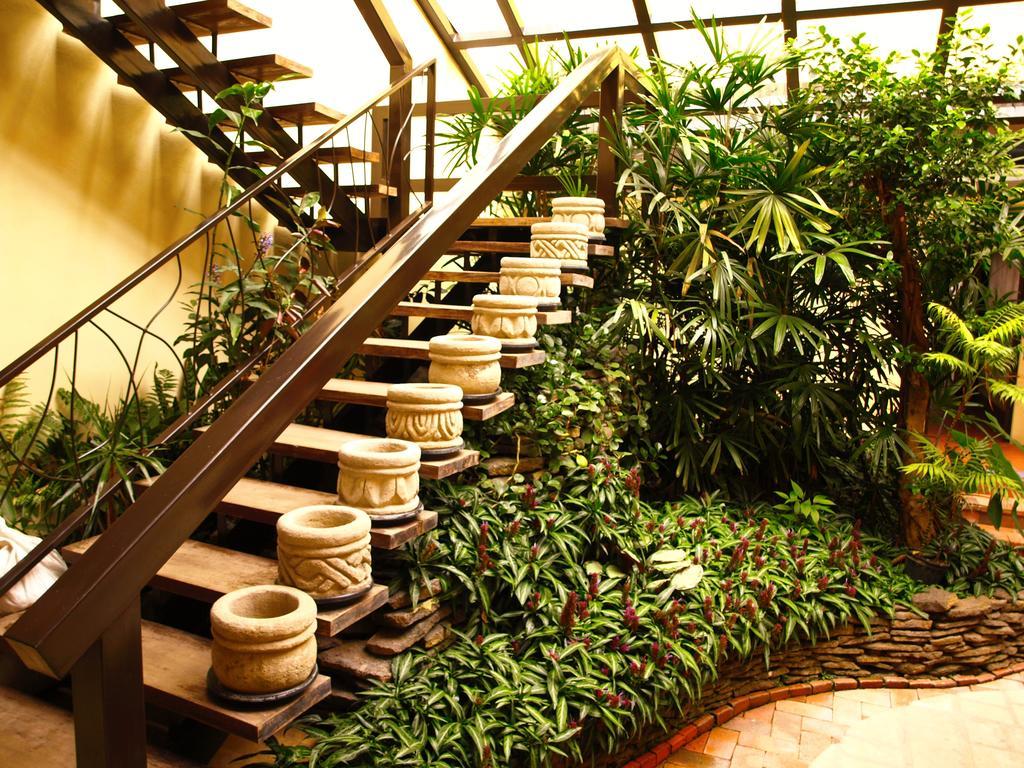 Hotel The Palm House Inn San José Exteriér fotografie