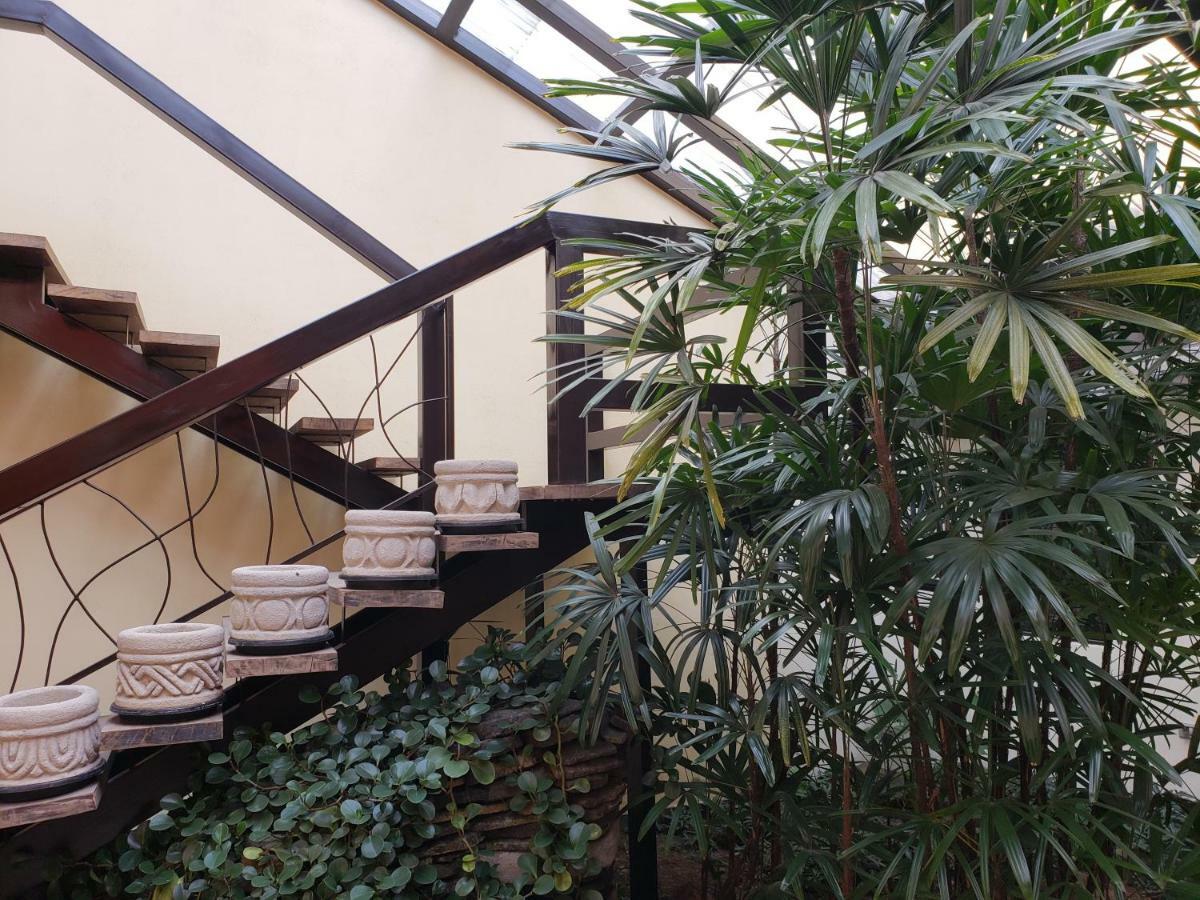 Hotel The Palm House Inn San José Exteriér fotografie